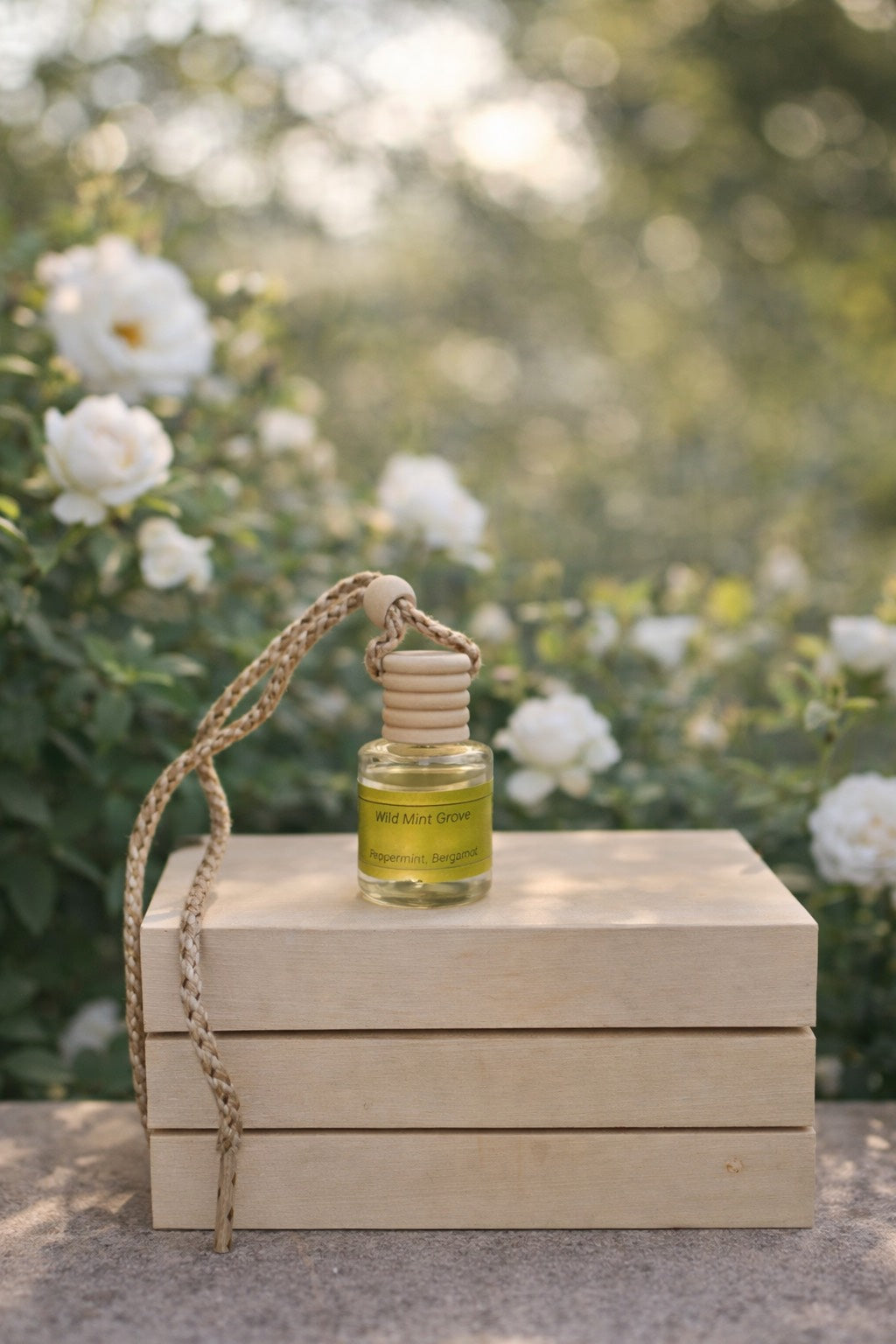 Car Oil Diffuser 2 for $10